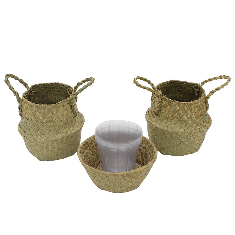 Panier de ruppie maritime Belly, H 8,5 po x l 8,5 po x P 8,5 po