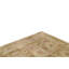 Wool Oriental Area Rug in Ivory
