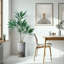 66 plantes-97700198