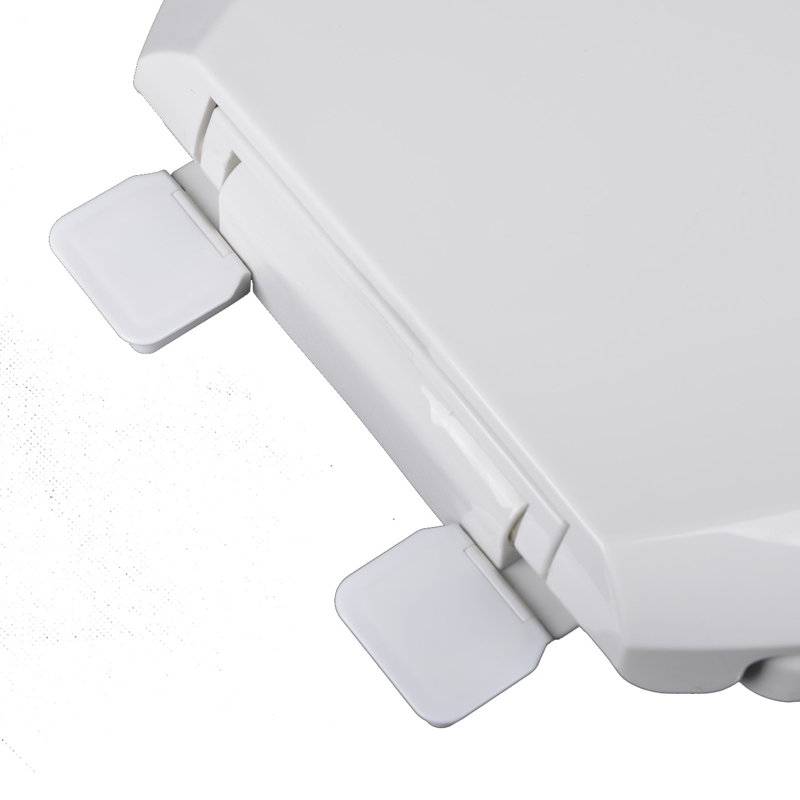 Round Toilet Seat and Lid, White