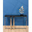 Katina 120cm Glass Top Console Table