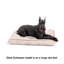 Pet Bed-55050410