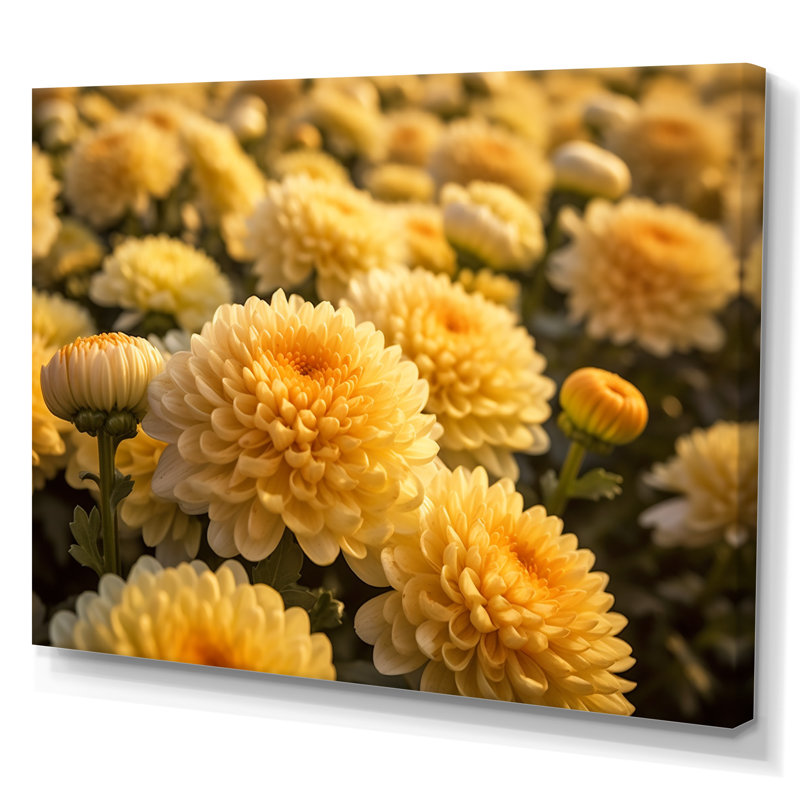 «Yellow Chrysanthemums Field» sur impression sur toile, H 30 po x l 40 po x P 1,5 po, Toile tendue