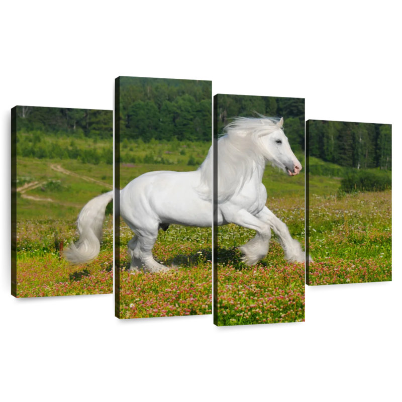 Bramire Shire cheval dans la prairie