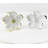Napkin Ring-1829185718