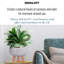 Concrete Effect Bowl Planter on Hardwood Legs, Round Indoor Plant Pot Stand for Indoor Plants, Shallow Planter with Plaited Pattern-31834699-31834696