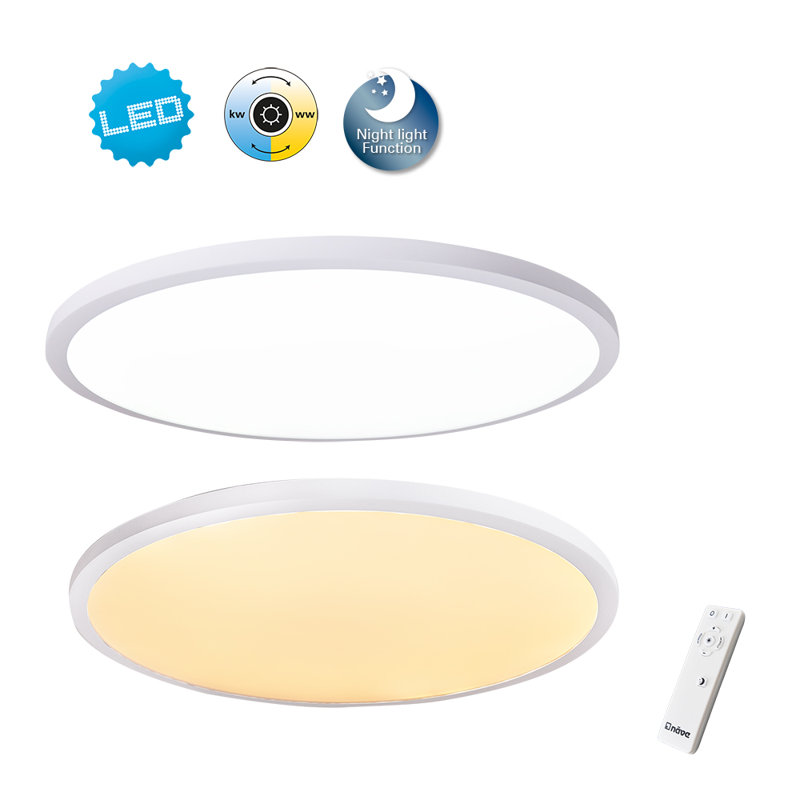 Hadlee Plastic LED Flush Mount