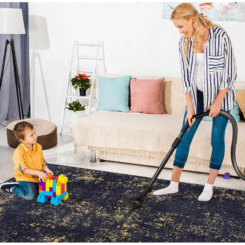 Washable Area Rug, Low-Pile, Non-Slip, Non-Shedding, Foldable, Kid & Pet Friendly - Rug For Living Room, Bedroom, Kitchen (Black/Gold)