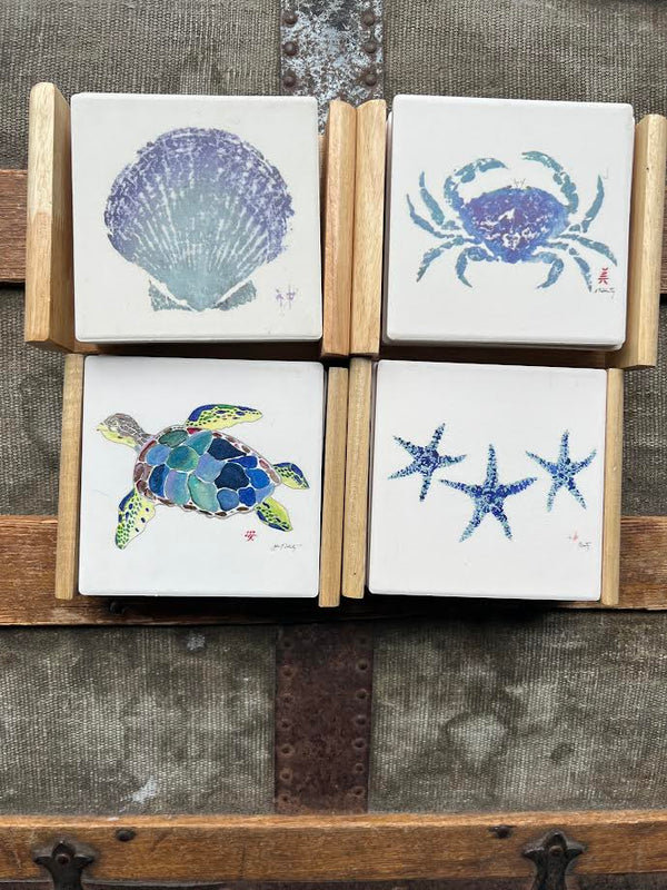 Ensemble de sous-verres Turtle