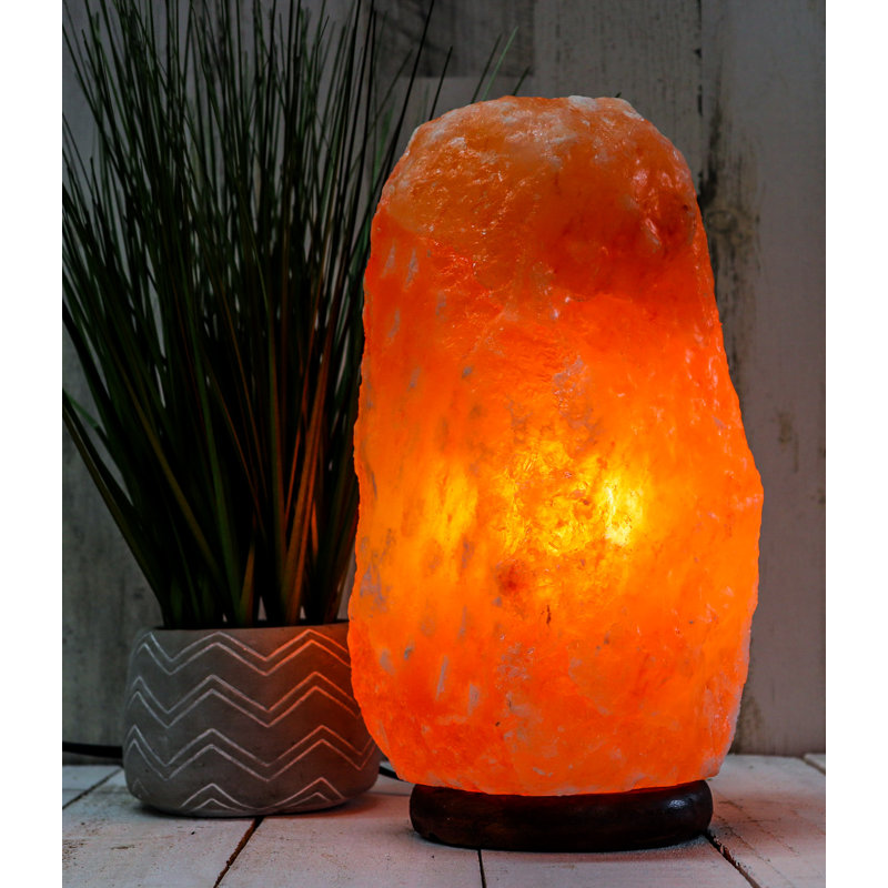 Lampe à sel 28 lb Sharrona