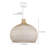 Aribella 1 - Light Natural Dome Pendant-26117900