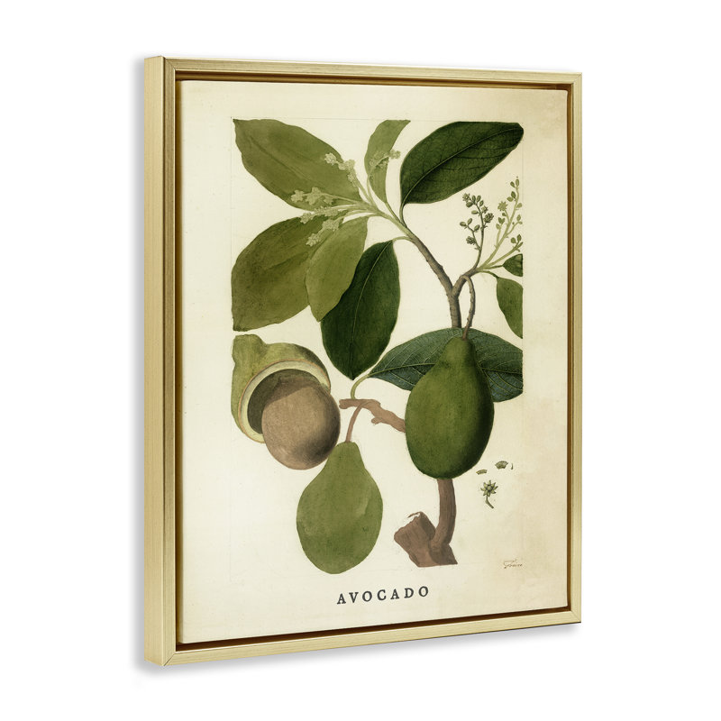 Cadre flottant rétro avec plante d'avocat, design par Lil 'Rue, H 31 po x l 25 po, Cadre flottant métallique doré