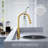 XWSI Pull Down Kitchen Faucet