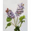 «Real Touch» lilas blanc 27,5 po-1803531827