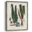 Collection de fougères V, reproduction encadrée - bois massif-2076993583