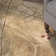 Hartlepool Floral Area Rug