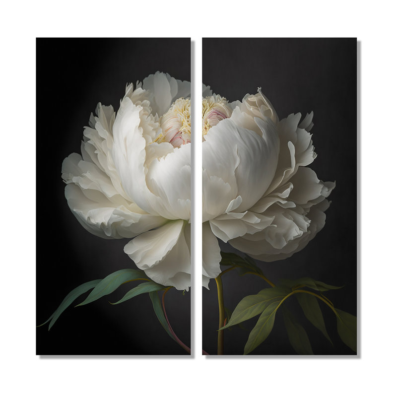 Pivoine blanche en fleurs VI - art mural blanc, H 32 po x l 32 po, Toile tendue, Ne s’applique pas