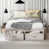 Blanc antique est en rupture de stock