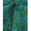 Overyed One-of-a-Kind Rectangle 6'2" X 9' Hand Knotted Area Rug