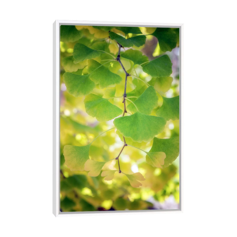 Fossil Leaves 1 Piece Wall Art on Canvas, 101.6 cm H x 66.04 cm W, White Framed