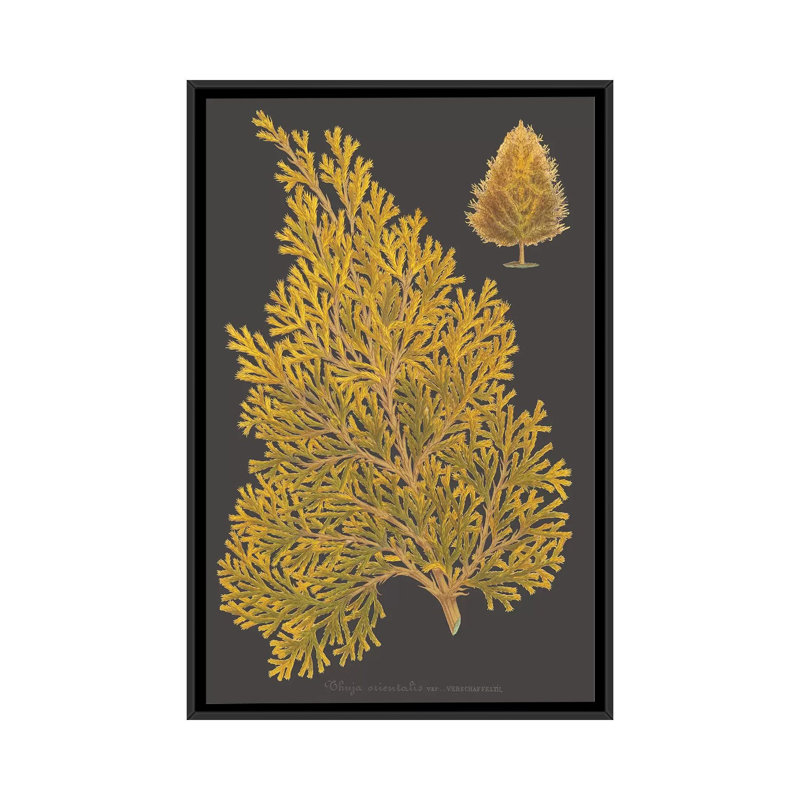 « trees & leaves iii », reproduction d’impression sur toile, H 26 po x l 18 po x P 1,5 po, Toile avec cadre noir