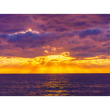 Golden Sunset With Clouds In Ocean Beach, San Diego Print by Brian Mc Clean
