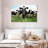 Holstein Cows-2101967426-2101967449