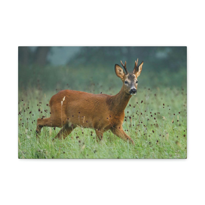 No Frame Print on Canvas
