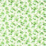 Hedera Fabric