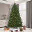 Teton Outdoor Fir Ariticial Christmas Tree with Warm White Wide Angle LED Lights with Stand-520927786