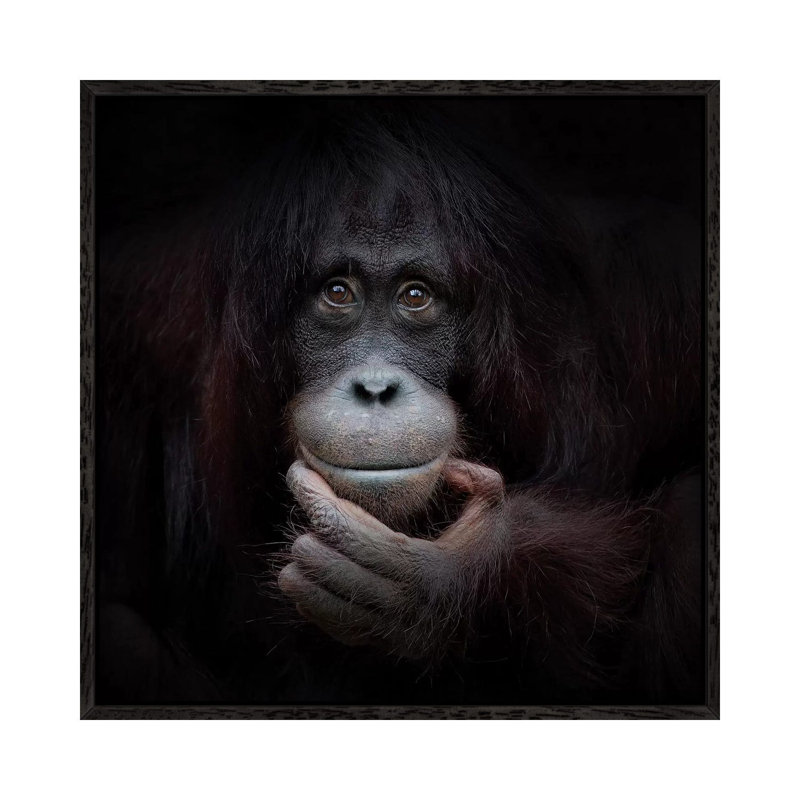 The Mirror Image 1 Piece Wall Art on Canvas, 45.72 cm H x 45.72 cm W, Black Framed