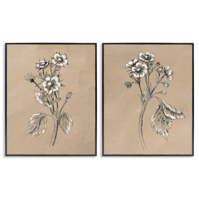Vintage Sketch Botanical 2 PC Framed Giclee Art Set by June Erica Vess