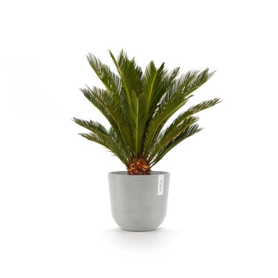 Pot Planter