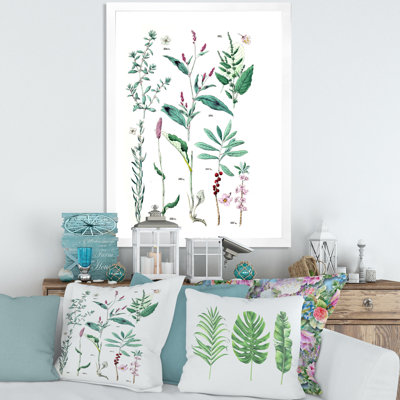 " Vintage Plants " Color Photography Painting