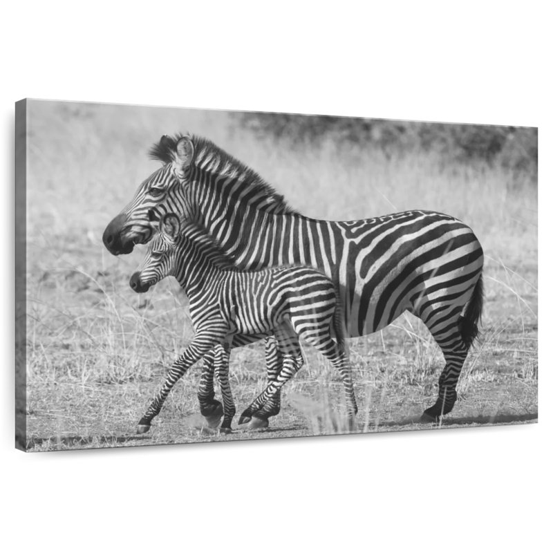 Brampt Mother And New Born, 16" H x 24" W