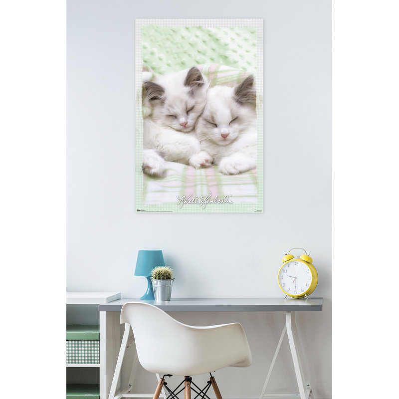 Impression sur papier kimberlin-chat 09