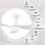 Aoise 45'' Ceiling Fan with LED Lights