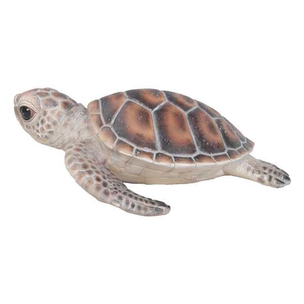 Hi-Line Gift Ltd. SMALL SEA TURTLE & Reviews | Wayfair