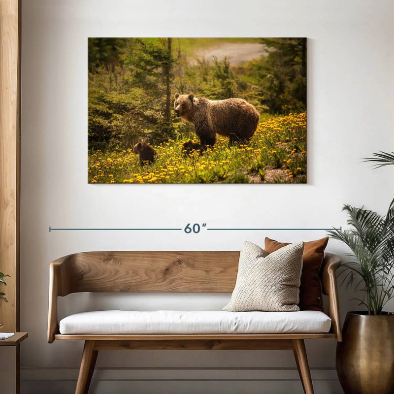 Grizzly canadien de Brampt, H 30 po x l 45 po