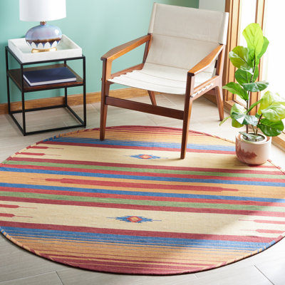 Barefield Hand Woven Southwestern Area Rug