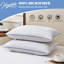 Coussin Joshuwa-917056143