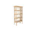 Chippendale Bookcase-87325857