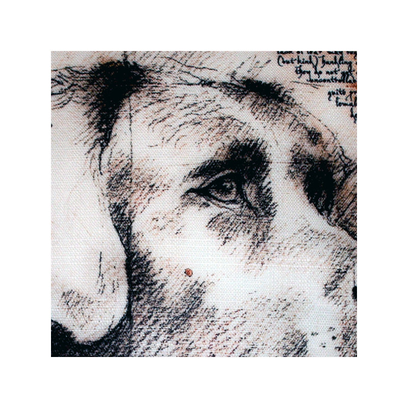 Coussin intérieur / extérieur Labrador Dog