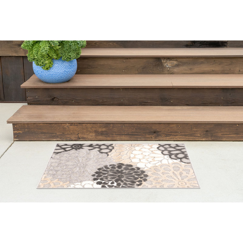 Shameekia Machine Woven Indoor and Outdoor Area Rug, Rectangle 2' x 3', Beige/Gray