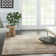 Minooka Oriental Indoor Rug