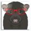 Art mural en verre acrylique Rat-733453559