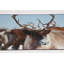 Monissa Area Rug-1864025181