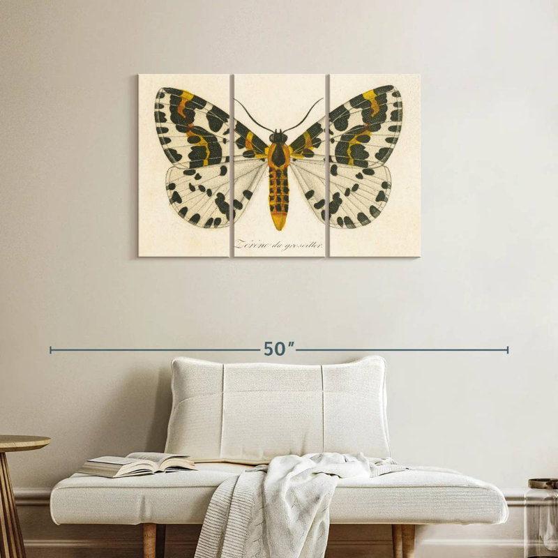 Brampt natures papillon IV, H 24 po x l 38 po