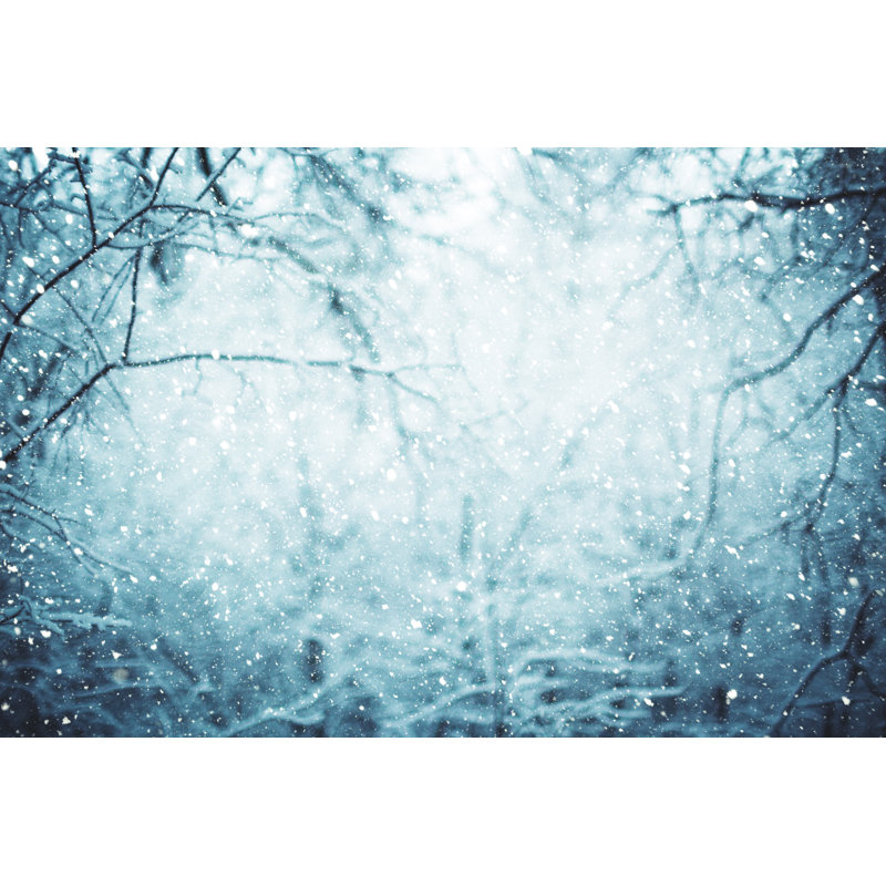 Snowfall in the woods, 51cm H x 76cm W