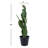 30 " H Faux Cactus Plant in Plastic and Fiberstone Pot